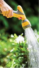  ?? ?? Drying up: The hot spell could lead to water firms imposing hosepipe bans