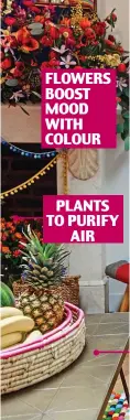  ??  ?? PLANTS TO PURIFY AIR FLOWERS BOOST MOOD WITH COLOUR