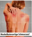  ?? ?? Muskelkate­rartige Schmerzen?