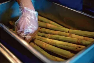  ?? ?? A.T. Nguyen picks raw sugarcane stalks to feed into a presser for fresh juice at Sugarcane HQ.