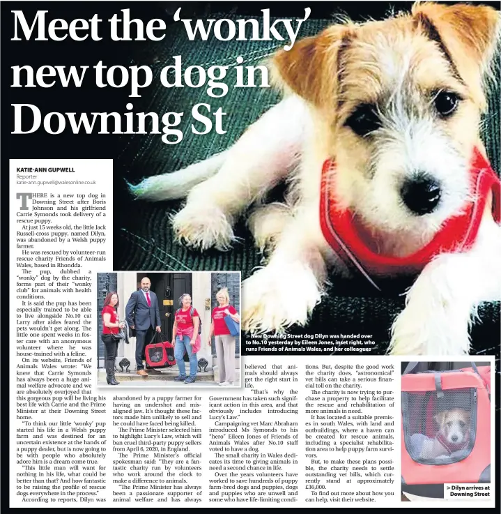  ??  ?? > New Downing Street dog Dilyn was handed over to No.10 yesterday by Eileen Jones, inset right, who runs Friends of Animals Wales, and her colleagues