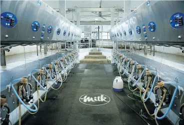  ?? JAMES MACDONALD / BLOOMBERG FILES ?? Automated milking machines at an Ontario dairy farm. The Dairy Farmers of Canada says attacks on the industry “are founded more on rhetoric than fact.”