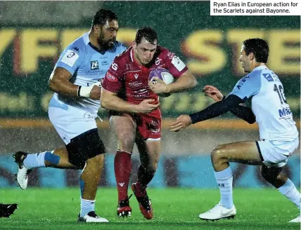  ??  ?? Ryan Elias in European action for the Scarlets against Bayonne.