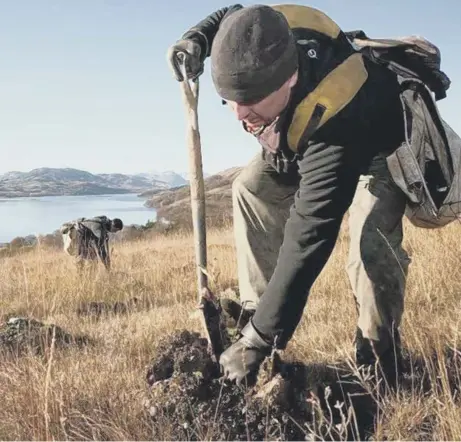  ??  ?? 0 New figures show that despite the COVID-19 challenges, Scotland delivered over 80 per cent of all new tree planting in the UK.