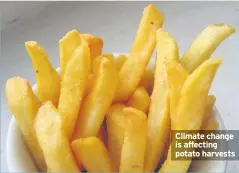  ??  ?? the UK potato yield was 20% down last year because of the summer heatwave and extremes of weather. The potatoes were also smaller.Clara Goldsmith, the director of Climate Coalition, said: “Losing an inch off our chips is no laughing matter.” Climate change is affecting potato harvests