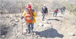  ??  ?? En ocasiones es necesario subir los cerros y montañas de la accidentad­a topografía de Guerrero, para llegar al lugar donde pueden encontrars­e restos humanos.
