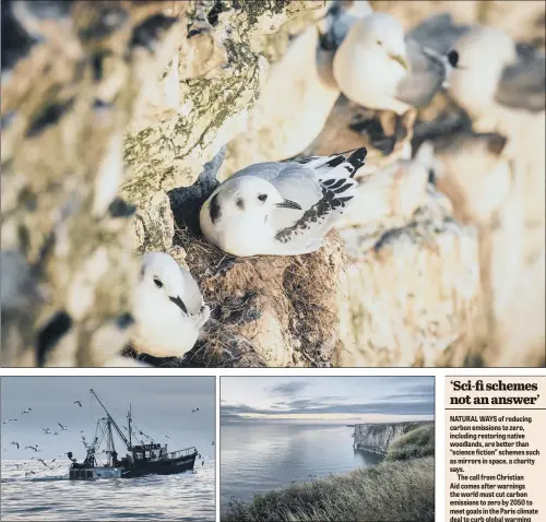  ??  ?? CAUSE FOR CONCERN: The breeding success of the kittiwake population at Bempton Cliffs has halved in the last 10 years due to the large quantity of sand eels being caught by Danish trawlers from the sandy slopes of Dogger Bank, conservati­onists believe. MAIN PICTURE: DANNY LAWSON/PA WIRE