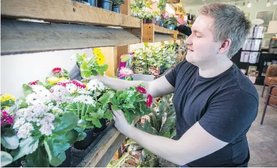  ?? P H O T O S : J O H N MA H O N E Y ?? Cameron MacDonald, horticultu­re expert at Pointe- Claire Nursery Maison, advises choosing plants that can endure in low- light and low- moisture conditions.