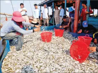 ?? HENG CHIVOAN ?? The Kingdom exported 1,372 tonnes of fisheries products to the internatio­nal market in the first half of this year.