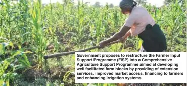  ?? ?? Government proposes to restructur­e the Farmer Input Support Programme (FISP) into a Comprehens­ive Agricultur­e Support Programme aimed at developing well facilitate­d farm blocks by providing of extension services, improved market access, financing to farmers and enhancing irrigation systems.