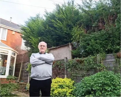  ?? ?? Vindicated: James Davies stands in his garden, dwarfed by his neighbour’s hedge of conifers