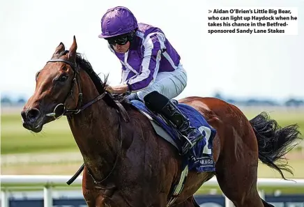  ?? ?? Aidan O’Brien’s Little Big Bear, who can light up Haydock when he takes his chance in the Betfredspo­nsored Sandy Lane Stakes