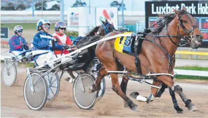  ?? Picture: TASRACING ?? WARHORSE: Destreos defeating Inter Dominion campaigner Devendra in Hobart recently.