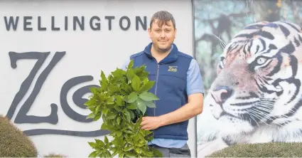  ??  ?? Glyn Avery has been kept busy keeping the animals fed at Wellington Zoo.