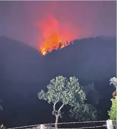  ?? ?? Al menos 300 tareas han sido afectadas por incendios.