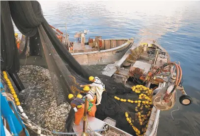  ?? JONATHON GRUENKE/DAILY PRESS 2019 ?? Fishermen aboard two purse boats of the Cockrells Creek begin to raise a seine net full of menhaden September 3, 2019. Officials are debating how to manage the menhaden’s harvest in the Chesapeake Bay.