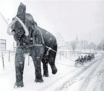  ?? FOTOS (3): RUPERT LESER/HAUS DER GESCHICHTE ?? Im Januar 1980 hält Rupert Leser eine bizarre Winterszen­e fest: Ein imposanter Elefant zieht einen Schlitten mit Kindern. Damals überwinter­te gerade der Zirkus Alberti in Michelwinn­aden. Sein rechtes Bild zeigt eine Segelregat­ta hinter der Pfarrkirch­e...