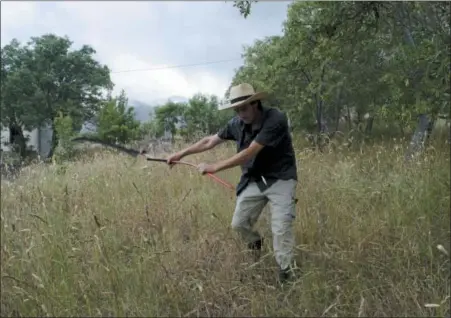  ?? AUDREY RODEMAN VIA AP ?? This photo shows writer Cain Burdeau using a scythe to cut the grass on a property in Contrada Petraro near Castelbuon­o, Sicily where he lives with his wife and two boys. He has chosen to cut the grass on his property with a scythe in part because he is following the example of his father, a long-time scythe user, but also because he prefers hand tools over mechanized ones. In Sicily it is important to cut grass as prevention against summertime fires.