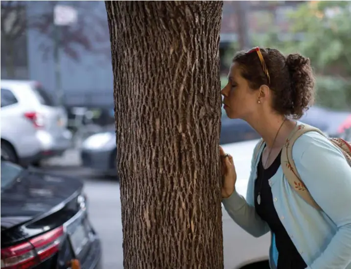  ?? © nyt ?? Een vrouw ruikt aan een boom tijdens een geurwandel­ing in New York. ‘De stad heeft niet één geur. Plaatsen herbergen heel veel diversitei­t en geen twee momenten zijn identiek.’