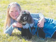  ??  ?? Abhi Osner, 10, from Nerang with her toy poodle Toby.