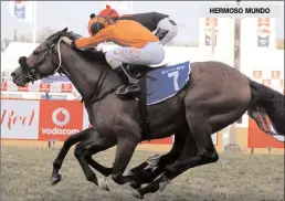  ??  ?? HERMOSO MUNDO 14.00) - TABONLINE.CO.ZA MAIDEN PLATE of R80000 over 2400m