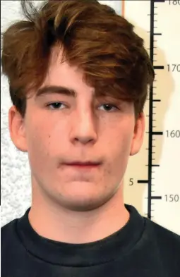  ??  ?? Straight-A pupil: Police mugshot of neo-Nazi Harry Vaughan