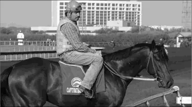  ?? COADY PHOTOGRAPH­Y ?? Captivatin­g Moon is the lone locally based horse pre-entered in Saturday’s Arlington Million.