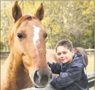  ?? Contribute­d photo ?? Rising Starr has rescued eight horses this year, doubling the amount saved in 2017.