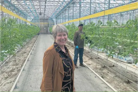  ??  ?? Malgré son sourire, la productric­e de tomates en serre Dominique Fortier appréhende des difficulté­s à accueillir à temps tous les travailleu­rs étrangers dont elle a besoin pendant la période névralgiqu­e se déroulant de janvier à mars.