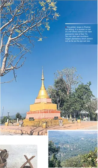  ??  ?? The golden stupa is Phathat Doi Wiang. It is located on top of a hill where visitors can have panoramic view of Ban Thi. You can also see countless longan plantation­s which stretch out as far as the eye can see.