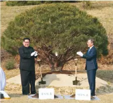  ??  ?? 兩韓領導人文在寅（右）及金正恩聯手種樹，紀念這次峰會。 （歐新社）