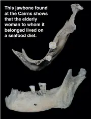  ?? ?? This jawbone found at the Cairns shows that the elderly woman to whom it belonged lived on a seafood diet.