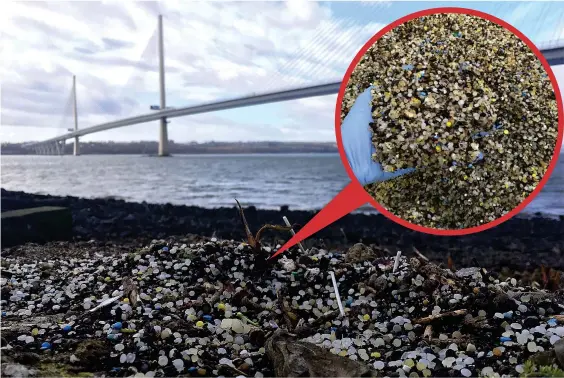  ??  ?? Blight on beach: North Queensferr­y’s shore is polluted with 450,000 plastic pellets called nurdles (circled) – the most in Scotland