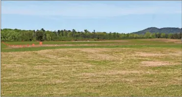  ?? Olivia Morley ?? The area between the orange flags is where the new airport runway extension will be built. The project will be extending the runway by 1,000 feet, making it 7,000 feet long.