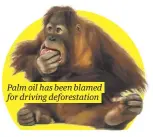  ?? ?? Palm oil has been blamed for driving deforestat­ion