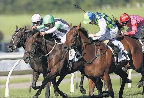 ?? Picture / Chris Loufte ?? Vinnie Colgan and Rangipo (green and blue) were too good in the NZ Derby last year.