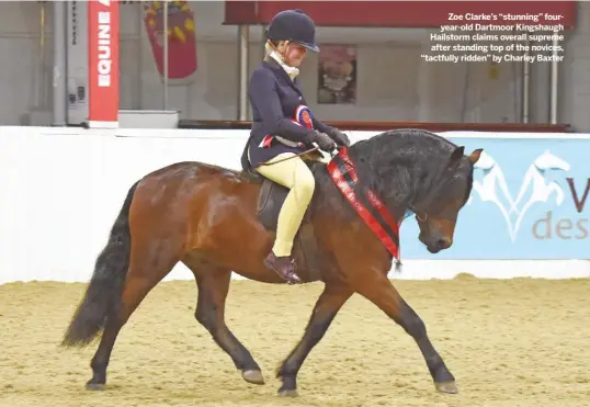  ??  ?? Zoe Clarke’s “stunning” fouryear-old Dartmoor Kingshaugh Hailstorm claims overall supreme after standing top of the novices, “tactfully ridden” by Charley Baxter