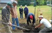  ?? PAUL POST — PPOST@ DIGITALFIR­STMEDIA.COM ?? Volunteers planted a basswood tree at New England Presbyteri­an Congregati­onal Church on Saturday. A Tree Toga project milestone was reached with the 200th tree planted in Saratoga Springs.