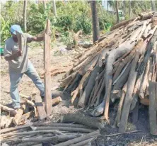  ?? JEANTY AUGUSTIN JUNIOR ?? Un hombre construye un horno para hacer carbón.