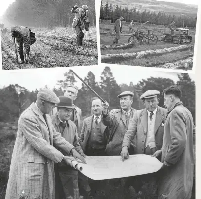  ??  ?? 4 3 The afforestat­ion of the vast Kielder Forest in Northumber­land 4 In 1960, Forestry Commission officials discuss plans to conserve the Black Wood of Rannoch in Perthshire 5 2 3