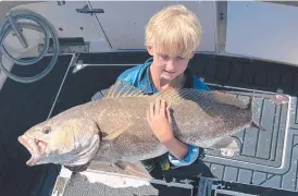  ?? ?? Sea Probe Fishing Charters have been finding some fantastic quality Jewfish.