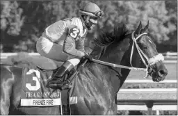  ?? DEBRA A. ROMA ?? Firenze Fire has won 11 stakes for the Mr. Amore Stable of Ron Lombardi. In his last start, he finished third in the BC Sprint.