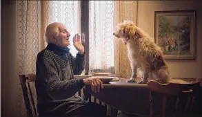  ?? Michael Dweck and Gregory Kershaw / Sony Pictures Classics ?? Aurelio Conterno, left, with his dog Birba in “The Truffle Hunters.”