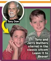  ?? ?? Tony Dow
Tony and Jerry Mathers starred in the classic sitcom Leave It to Beaver