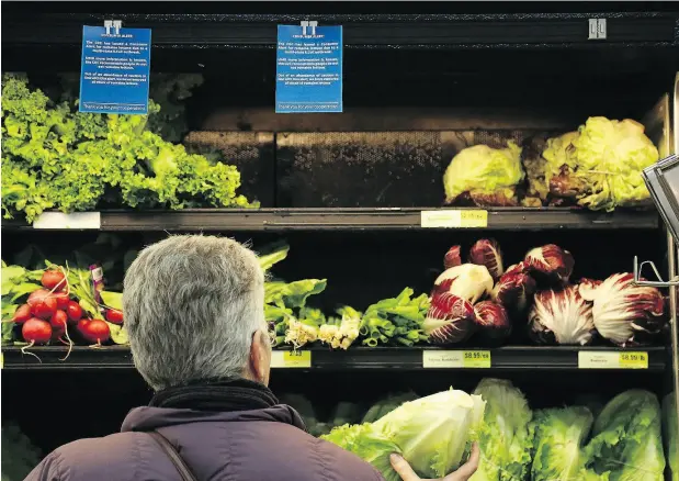  ?? JESSIE WARDARSKI / PITTSBURGH POST-GAZETTE VIA THE ASSOCIATED PRESS ?? A shopper in Pittsburgh selects lettuce from a grocery store shelf, amid a Centers for Disease Control consumer alert regarding a multi-state E. coli outbreak. In Canada, however, the Canadian Food Inspection Agency did not insist romaine lettuce be removed from shelves.