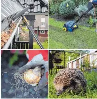  ?? FOTOS: FISKARS/DPA/ARCHIV ?? Bevor der Garten in seinen Winterschl­af verfällt, gibt es viel zu tun.