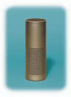  ?? Jens Mortensen / New York Times ?? Amazon’s Echo is a smart speaker, but no one would call it a genius.