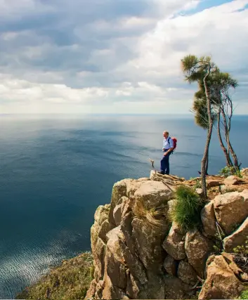  ??  ?? LEFT: It’s quite a climb to reach the exposed lookout at Fluted Cape on Bruny Island and not for the faint- hearted. BELOW: Flowering swamp honey- myrtle adds a splash of colour to the vast moorlands of Southwest National Park.