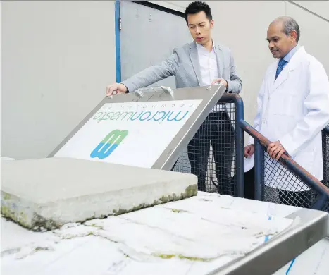  ?? GERRY KAHRMANN ?? Micron Waste Technologi­es Inc. president Alfred Wong and chief technical officer Bob Bhushan are developing an aerobic digester that would take waste from the production of marijuana and extract clean water from it, while leaving behind compostabl­e...