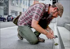  ?? Darrell Sapp/Post-Gazette ?? Matt Webb, coordinato­r of Bird Safe for the Carnegie Museum of Natural History, finds a deceased Tennessee warbler in May 2018 on Third Avenue in Downtown Pittsburgh. Mr. Webb and his team are examining the migratory patterns, species diversity and locations to reduce the number of birds killed from colliding with glass.